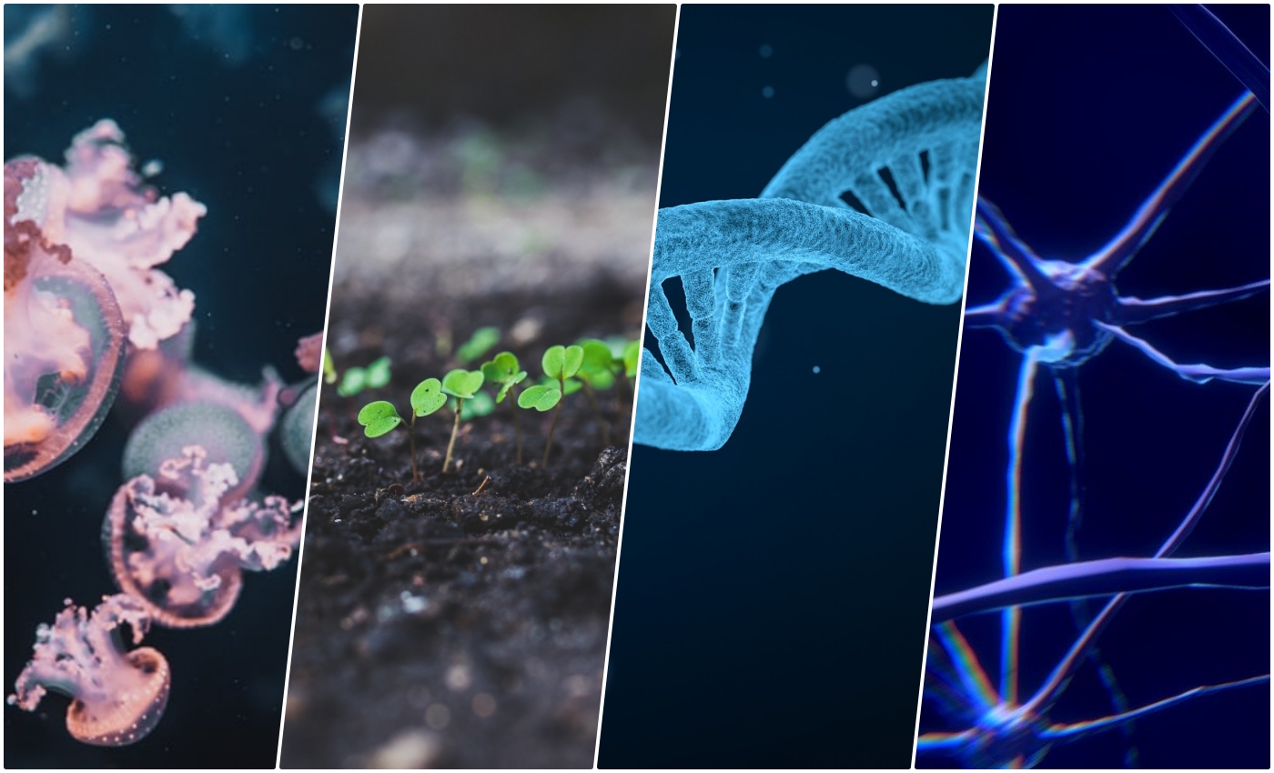 Bioengineering collage